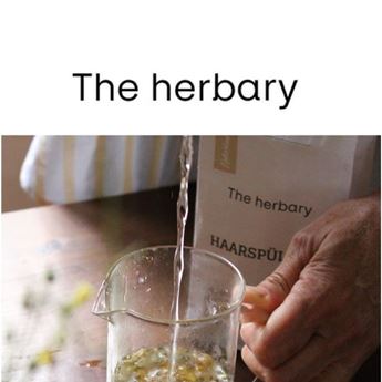 Logo de la marca The herbary